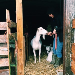 Courtney Tyler with Minty the goat
